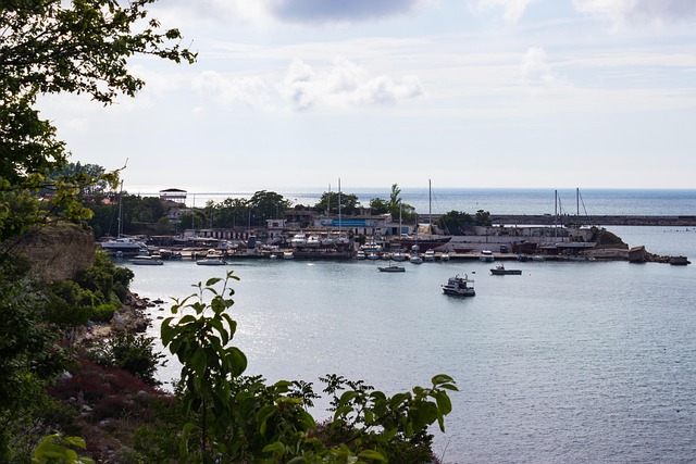 Free Sea Port photo and picture