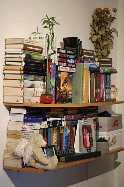 Bibliothek, Bücherregal, Bücher