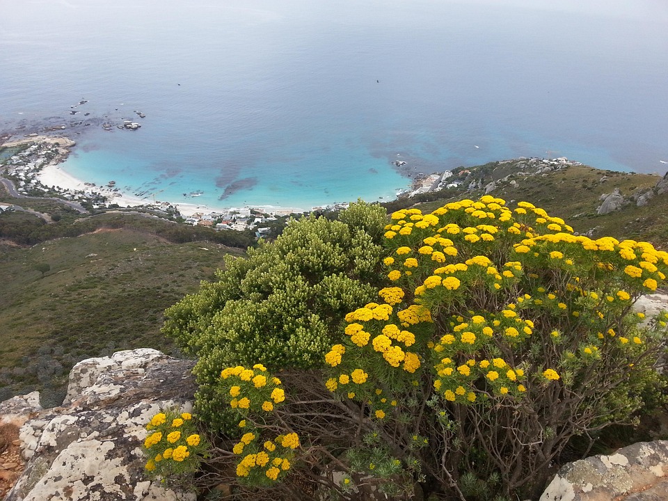 Lions Head Cape Town South Africa - Free photo on Pixabay - Pixabay