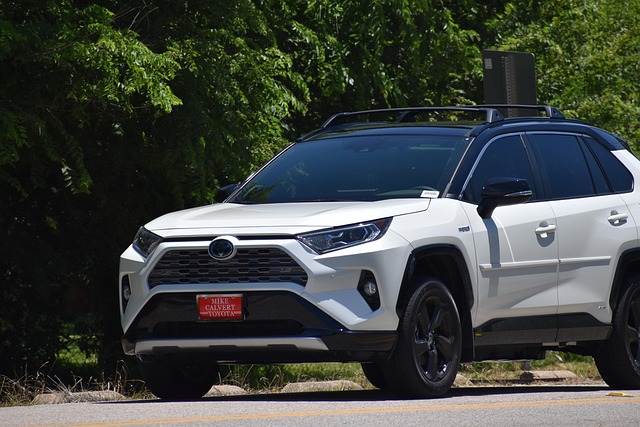 Free Toyota Rav 4 Hybrid photo and picture