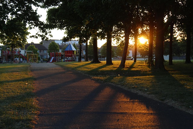 Bomen, Straat, Speelplaats