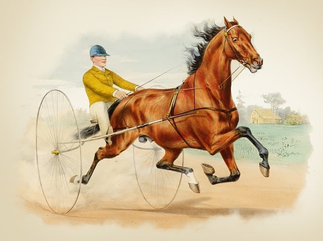 Free horse ride vintage illustration