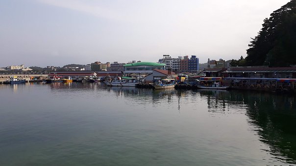 Free Harbor Ocean photo and picture