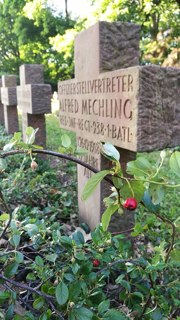Free Cemetery Cross photo and picture