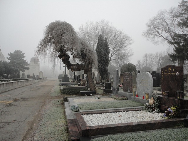 Central Cemetery Graveyard Vienna Free photo on Pixabay