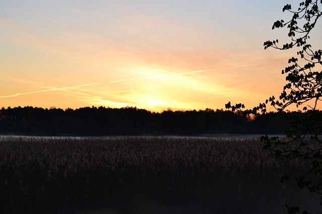 Free Sun Rise photo and picture