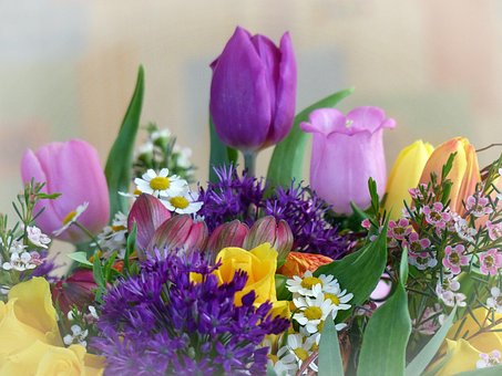 Blomst, Flerfarvet, Forår, Farverige