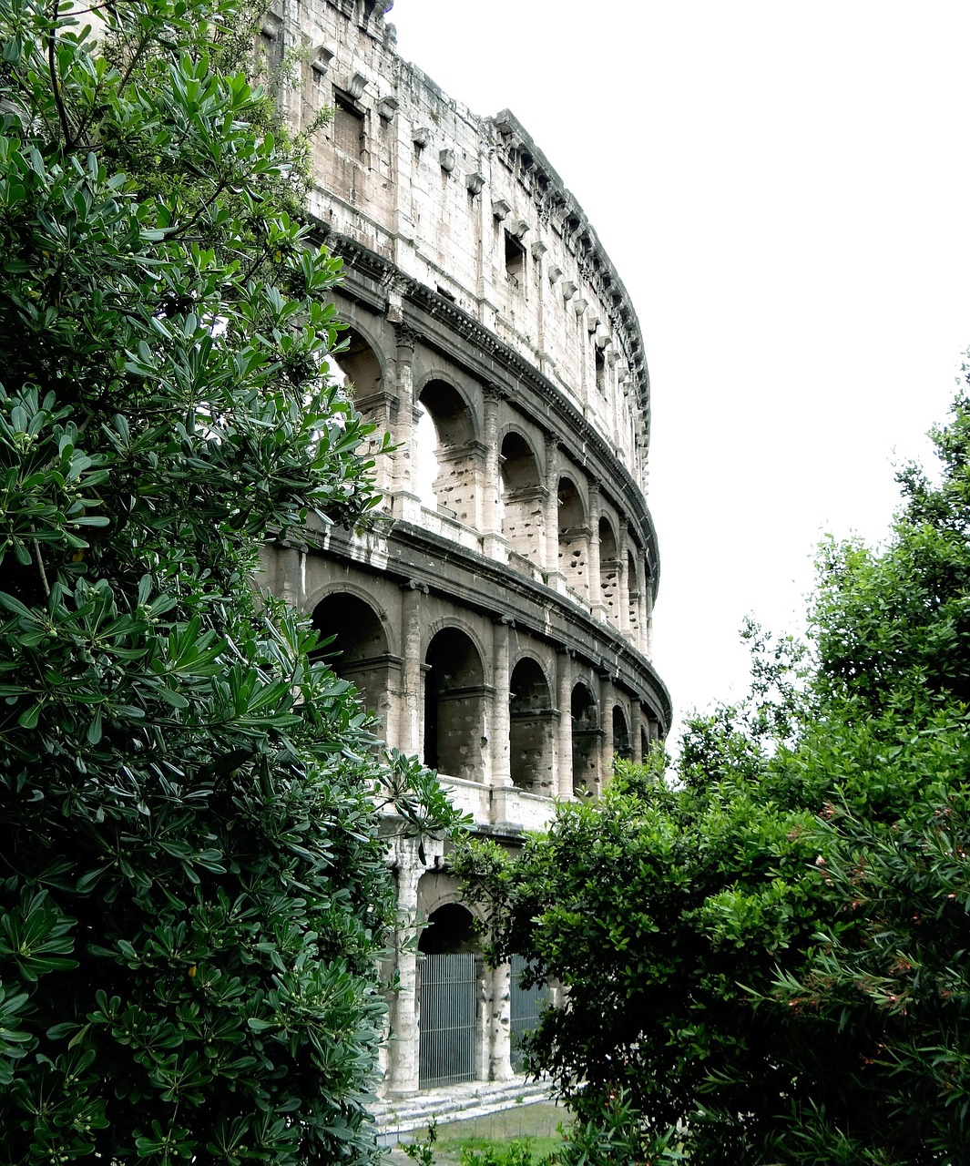 Rome Coliseum Italy - Free photo on Pixabay