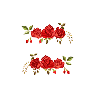 Flor, Rosa Roja, Rosas Rojas