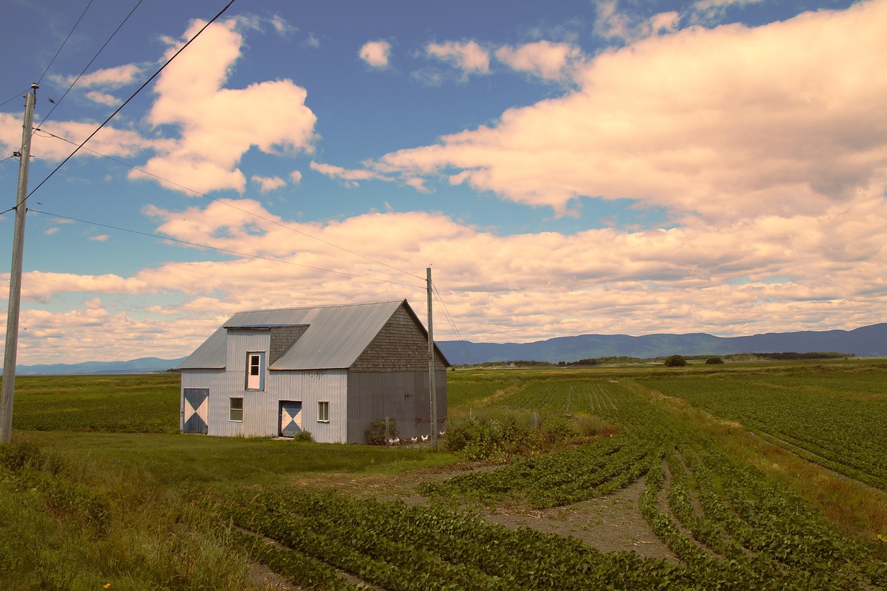 Building - free online jigsaw puzzle photo