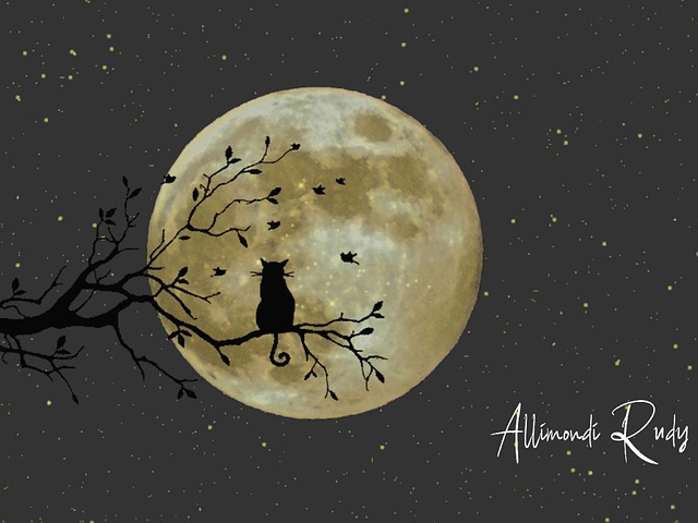 Free Luna Fantasia photo and picture