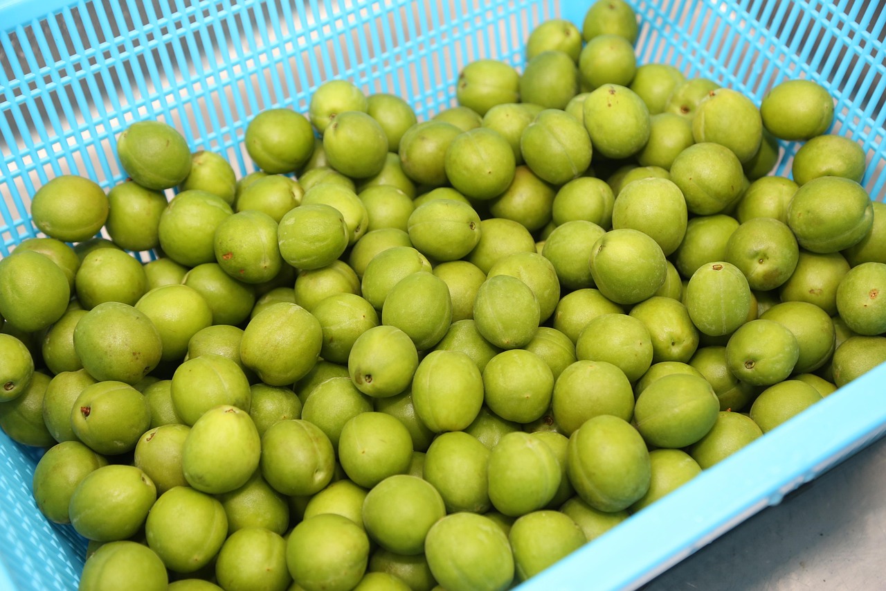 Plum Process Agricultural Free photo on Pixabay Pixabay
