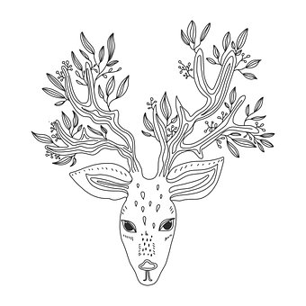 Free Deer Head photo and picture