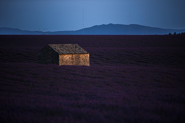 Free House Fields photo and picture