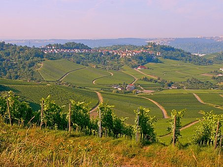 Free Wine Stuttgart photo and picture