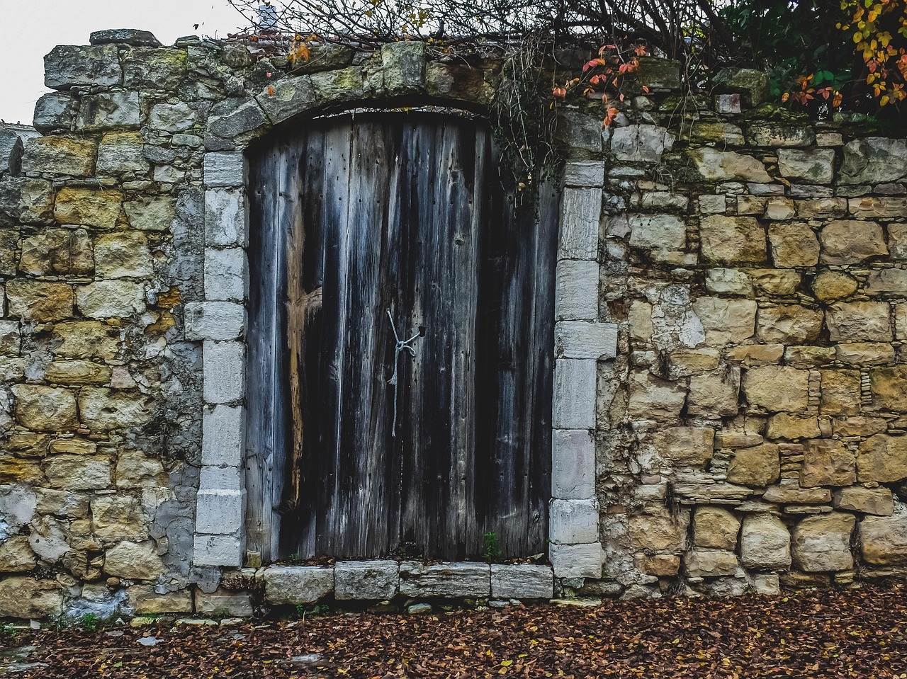 Door - free online jigsaw puzzle photo
