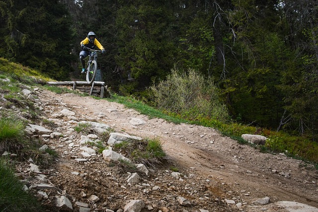 Mountainbike, Mountainbiking, Fahrrad