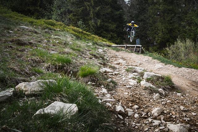 Mountainbike, Mountainbiking, Fahrrad