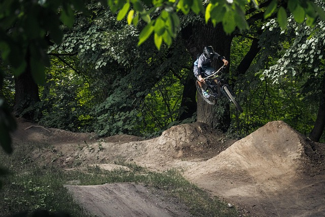 Mountainbiking, Sport, Freifahrt