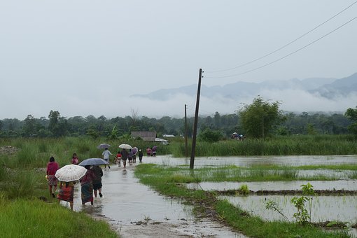 Free Monsoon Rain Rain photo and picture