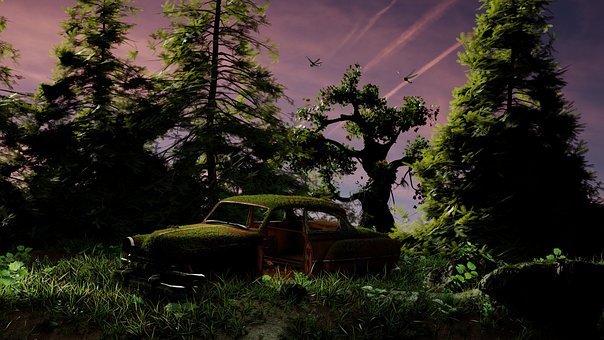 Free Moss Automobile photo and picture