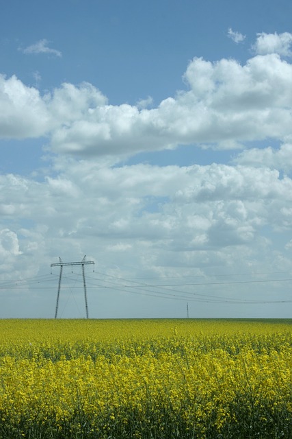 Free Cloud Meadow photo and picture