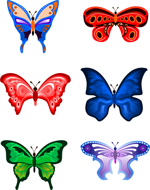 Borboleta, Inseto, Natureza, Asas