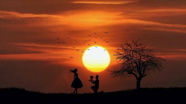 Free Sunset Sun photo and picture