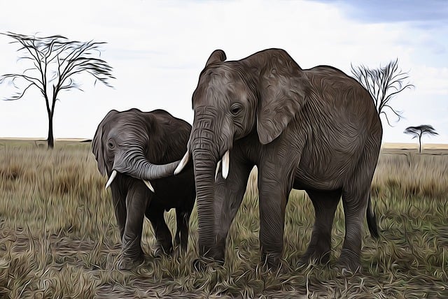 Free africa tanzania national park illustration