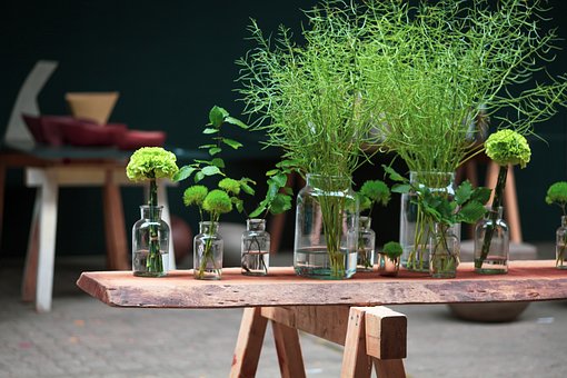 Free Plants Deco photo and picture