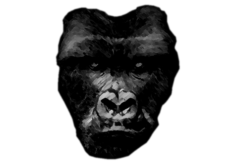 Gorilla, Abe, Dyr, Pattedyr, Primat