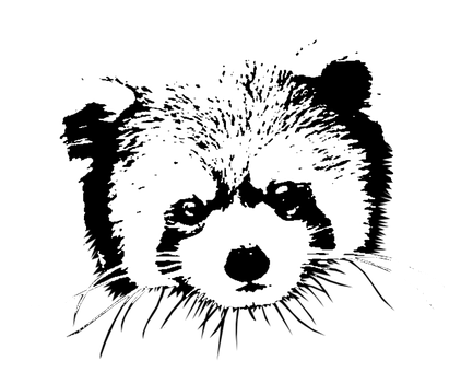 Rød Panda, Bjørn, Panda, Pattedyr, Zoo