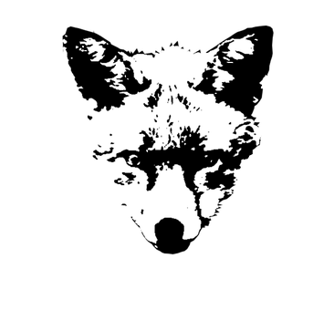 Ræv, Vilde Hunde, Sjakal, Hund, Vild
