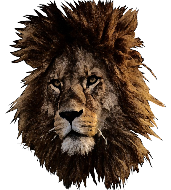 Løve, Kat, Afrika, Rovdyr, Dyr, Safari