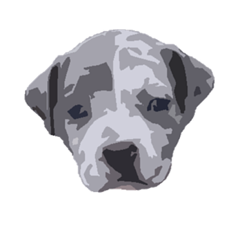 Baby, Bulldog, Hundehvalp, Hund, Nyfødt