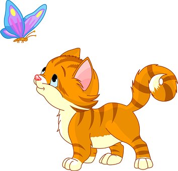 Free Cat Kitty photo and picture