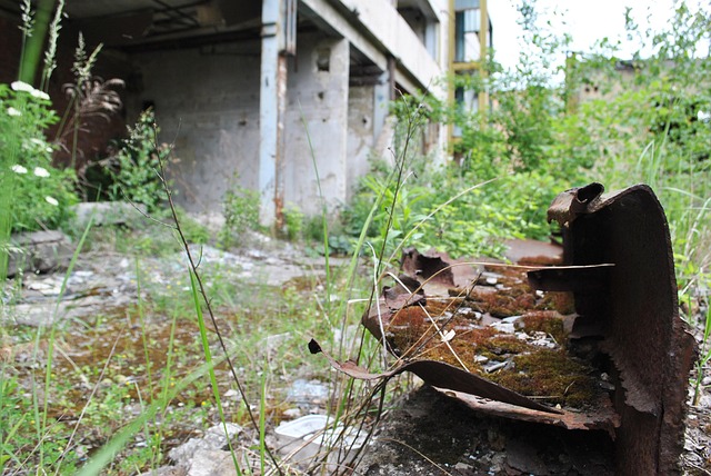 Free Building Urbex photo and picture