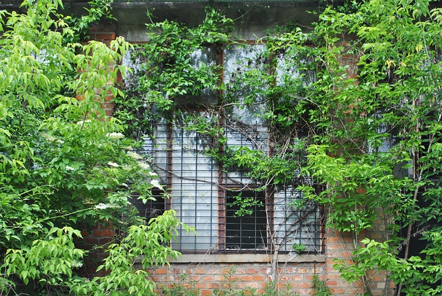 Free Building Urbex photo and picture