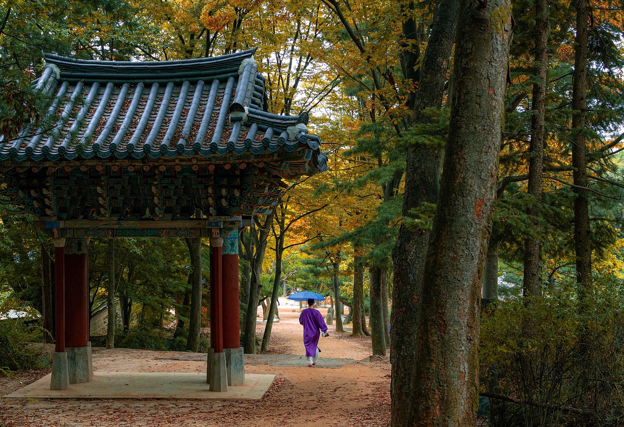 한국 민속마을 — 초가지붕과 돌담이 어우러진 전통 마을 전경