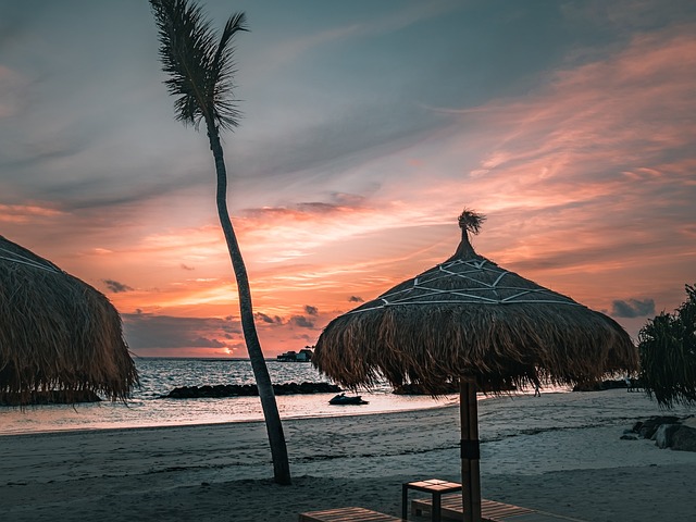 Free Maldives Beach photo and picture