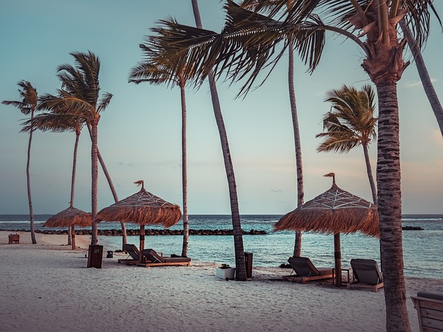 Free Maldives Beach photo and picture
