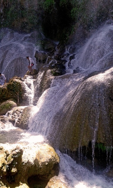 Free The Niche Cienfuegos photo and picture