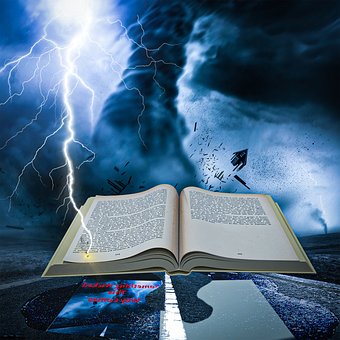 Buchen, Offenes Buch, Sturm, Literatur