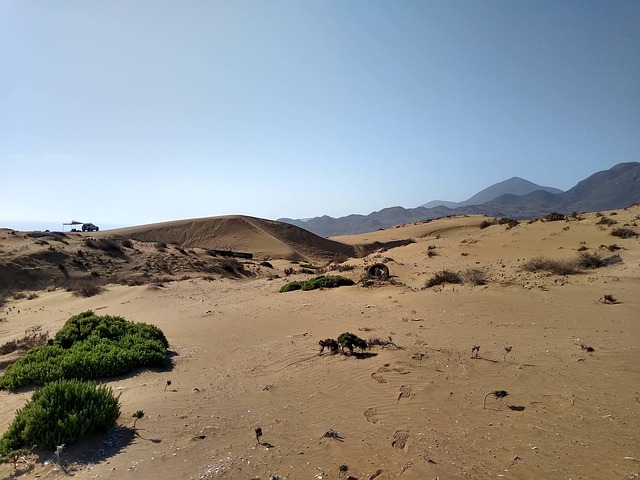 Free Desierto Sol photo and picture