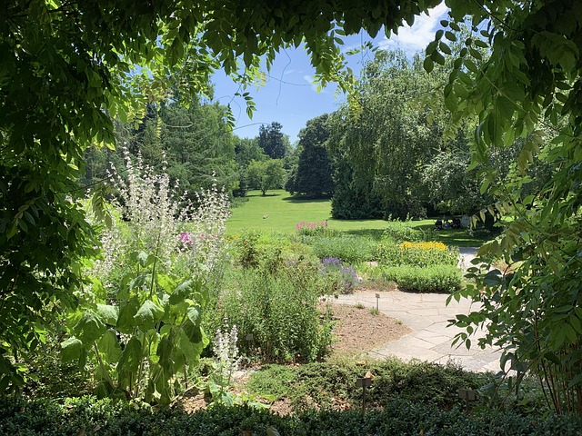 Free Park Nature photo and picture