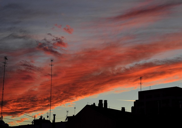 Free Sunset Darling photo and picture