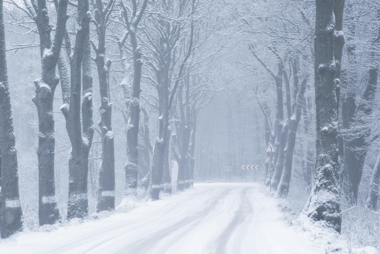 Alley - free online jigsaw puzzle photo