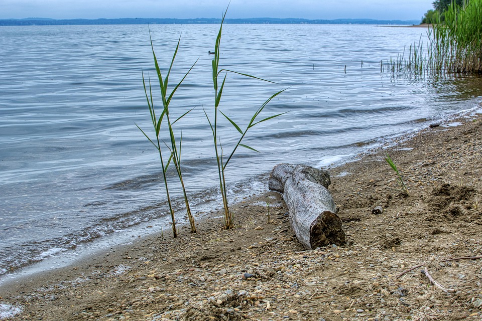 Flotsam And Jetsam Floating Debris Free photo on Pixabay