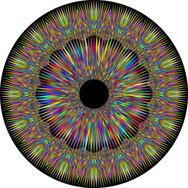 Free eye eyeball see vector