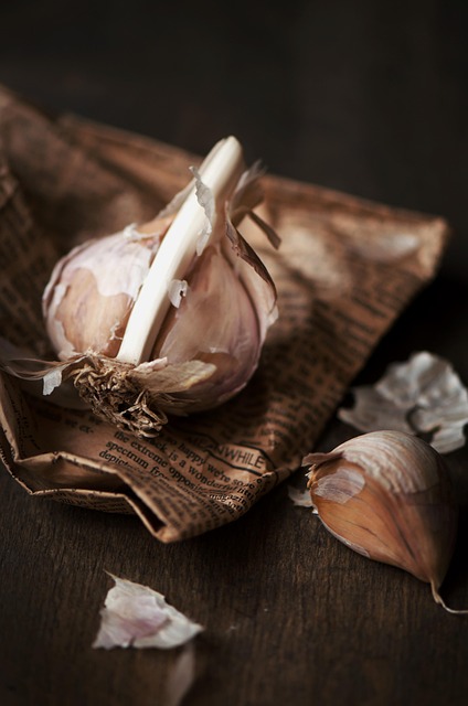 Free Still Life Garlic photo and picture